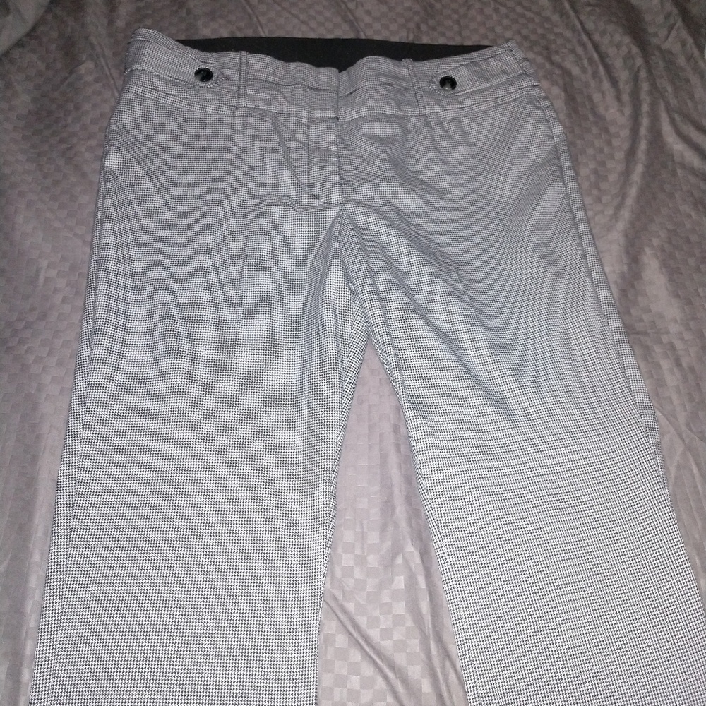 Candie's size 13 jr. Dress pants.
